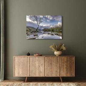 Obraz rieky za stromom (90x60 cm)