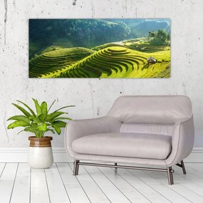 Obraz - Koncert ryžových terás (120x50 cm)