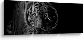 Obraz divokého tigra (s hodinami) (90x30 cm)