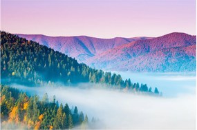 Obraz - Panorama 2 (90x60 cm)