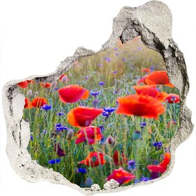 Foto fotografie diera na stenu Poľné kvety nd-p-65959167