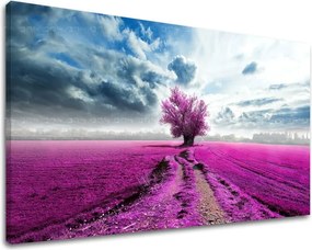 Obraz na stenu STROMY