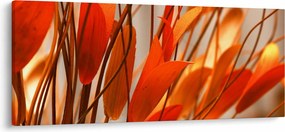 Obraz okvetných lístkov (120x50 cm)