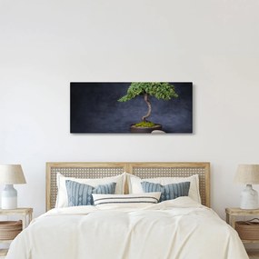 Obraz - Bonsai (120x50 cm)