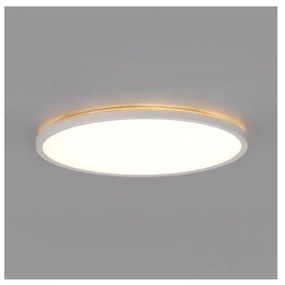 LED kúpeľňové stropné svietidlo NIVERA LED/24W/230V IP54 pr. 30 cm biele