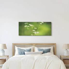 Obraz Sedmokrásky (120x50 cm)