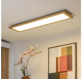 Brilagi - LED Stmievateľné svietidlo SLIMFRAME WOOD LED/58W/230V 124x34 cm + DO