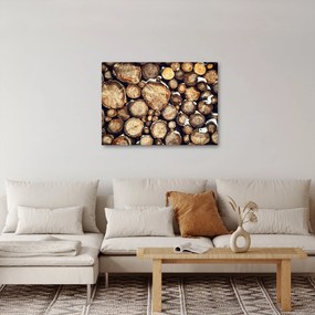 Obraz - Drevo v snehu (70x50 cm)