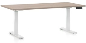 Výškovo nastaviteľný stôl OfficeTech D, 160 x 80 cm, biela podnož, dub