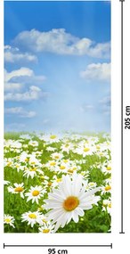 Fototapeta na dvere - Rozkvitnutá lúka s margarétami (95x205cm)
