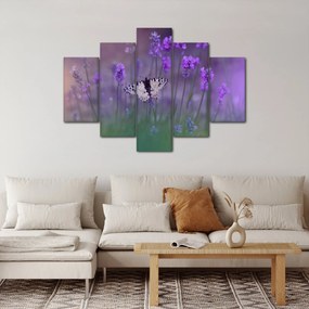 Obraz - Motýľ v levanduli (150x105 cm)