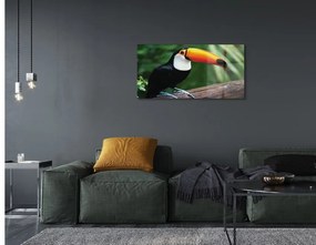 Sklenený obraz Tukan na vetve 140x70 cm