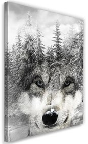 Obraz na plátně Wolf Forest Černá a bílá - 40x60 cm