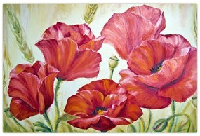 Obraz - Kvety vlčích makov (90x60 cm)