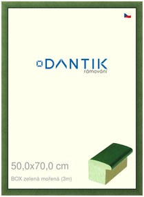 DANTIK rám na obraz 50x70 | BOXzelená mořená (Plexi Čiré)
