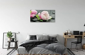 Sklenený obraz Magnolia kamene 140x70 cm