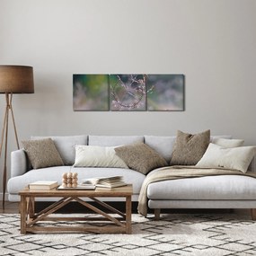 Obraz - Detail traviny (s hodinami) (90x30 cm)
