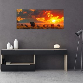 Obraz - Stádo slonov (120x50 cm)