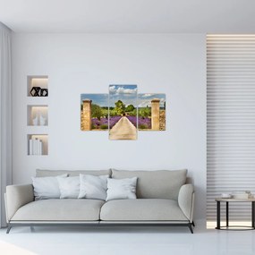 Obraz - Levanduľové cesty (90x60 cm)
