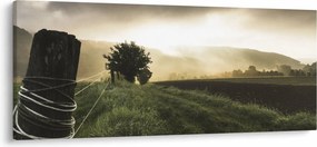 Obraz lúky (120x50 cm)
