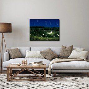 Obraz - Padajúce nebo (70x50 cm)
