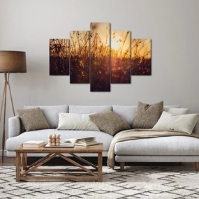 Obraz poľa pri západe slnka (150x105 cm)