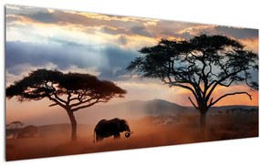 Obraz - Národný park Serengeti, Tanzánia, Afrika (120x50 cm)