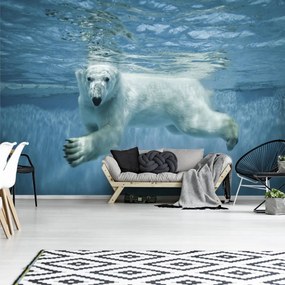 Fototapeta - Ľadový medveď (152,5x104 cm)