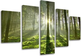 Obraz na stenu 5 dielny STROMY ST021E50