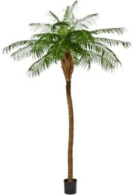 Umelá rastlina Phoenix palm stem 225 cm