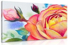 Obraz ruže v ružových odtieňoch - 120x80