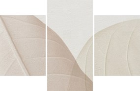 Obraz - Texturované listy (90x60 cm)
