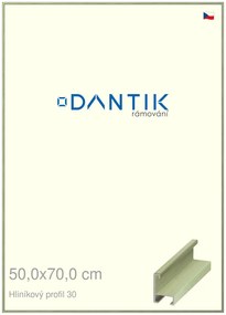 DANTIK rám na obraz 50x70 | ALU Dýha barevná zelená pastel (Plexi Čiré)