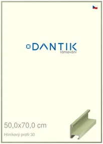 DANTIK rám na obraz 50x70 | ALU Dýha barevná zelená pastel (Plexi Čiré)