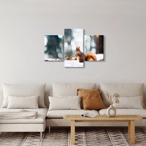 Obraz - Veverička (90x60 cm)