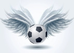 Obraz - Balón s krídlami (70x50 cm)