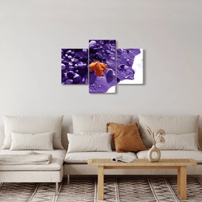 Obraz - Morská pláž (90x60 cm)