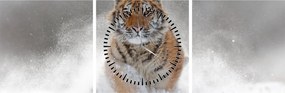 Obraz bežiaceho tigra v snehu (s hodinami) (90x30 cm)