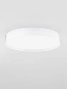 LED stmievateľné biele moderné stropné svietidlo Roi 40