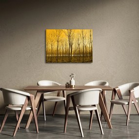 Obraz - Plantáž stromov (70x50 cm)
