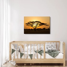 Obraz - Africká savana (90x60 cm)