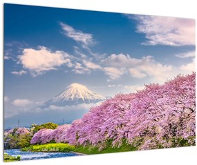 Obraz - Japonská jarná krajina (90x60 cm)