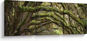 Obraz - Oaks Avenue, Charleston, Južná Karolína, USA (s hodinami) (90x30 cm)