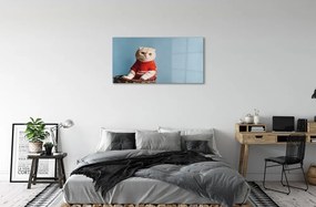 Sklenený obraz sediaci mačka 120x60 cm