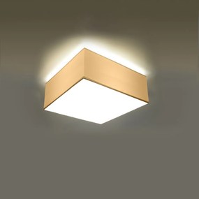 Stropné svietidlo Horus, 1x biele plastové tienidlo, (biely plast), (25 cm)