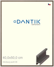 DANTIK rám na obraz 40x50 | ALU Hnědá tmavá (Plexi Čiré)