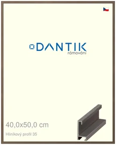 DANTIK rám na obraz 40x50 | ALU Hnědá tmavá (Plexi Čiré)