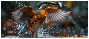 Obraz - Včelojedi (120x50 cm)