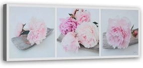Obraz na plátně Pivoňka růžové květy - 120x40 cm