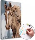 Maľovanie podľa čísel MLADÝ ŽREBEC – nízka náročnosť 40x60  cm